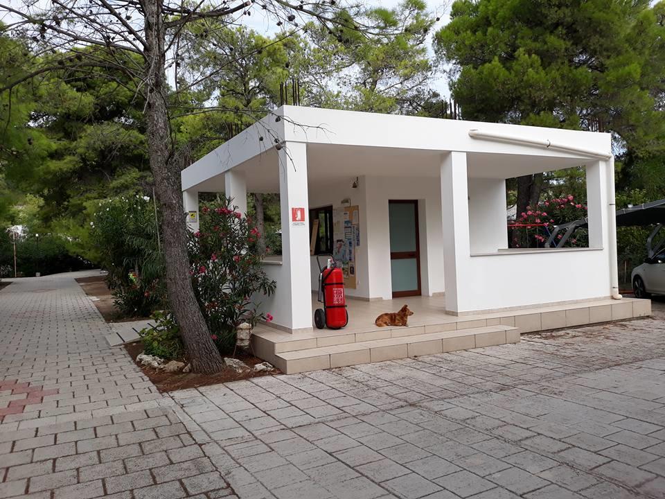 Villaggio Sabbiadoro Vieste Extérieur photo